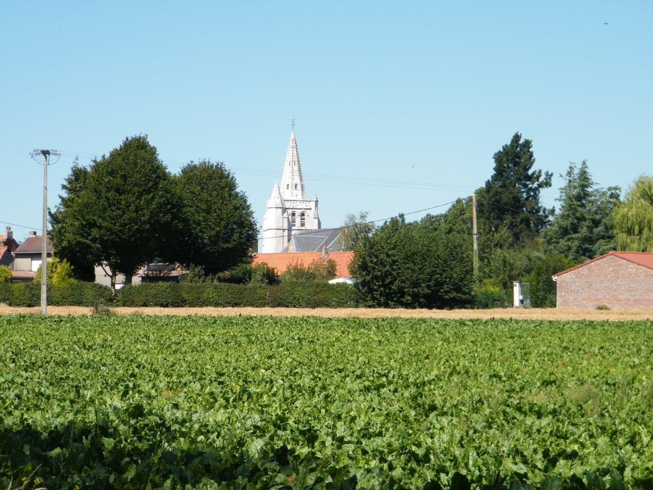 Polincove et sa campagne